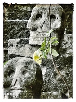  © 2021 Fernanda Pereira Witdorchic