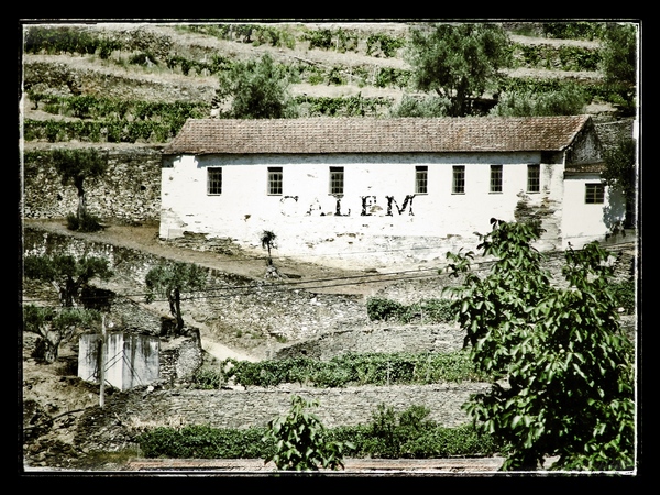 Douro River Valley