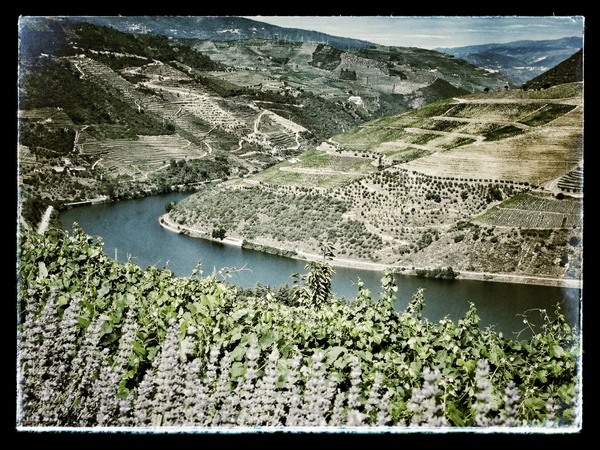 Douro River Valley