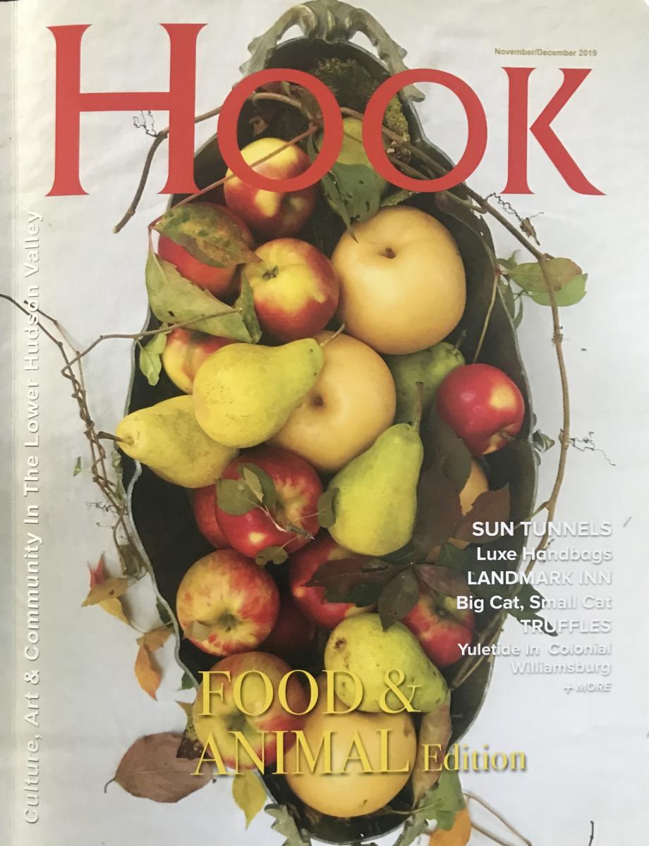 Hook Magazines November/December 2019 issue